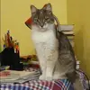 Отзыв от Марина Озерова